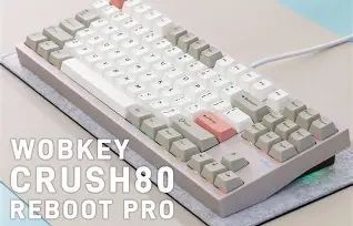 Which is Better Value? Msi Prestige 14 Flip Ai vs Wobkey Crush 80 Compared